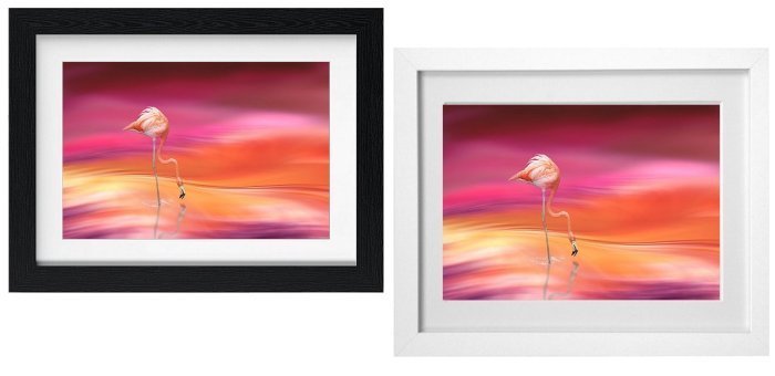 Select Your Frame